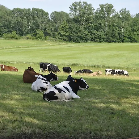 Agriturismo Cascina Selva 3* Ozzero