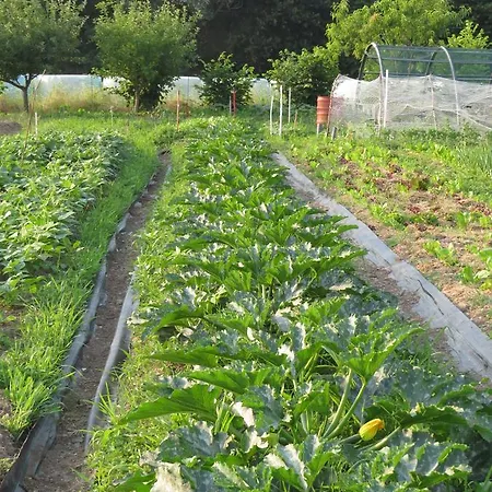 Agriturismo Cascina Selva 3* Ozzero
